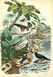 Titelpagina, 1863-79